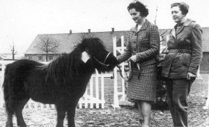Kåring i Dansk Polyavlsforbund 1967